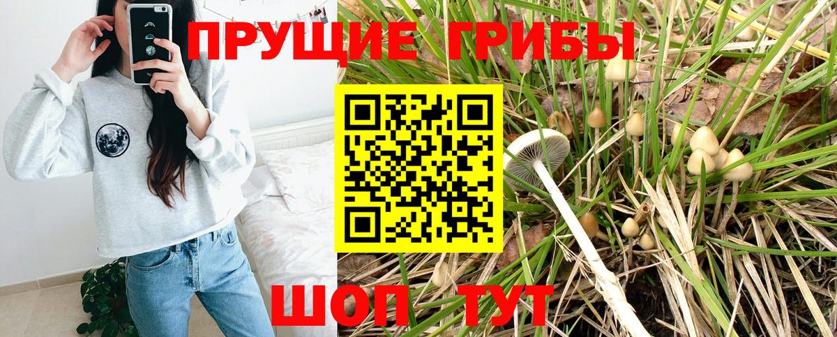 Канабис  Героин  Экстази  Псков  Вейп ТГК  ГАШИШ  А ПВП СК   Меф МЯУ МЯУ   Гашиш  Вход с VPN 