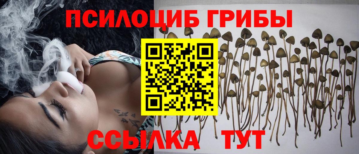 Псков  Псилоцибиновые грибы мицелий  Псилоцибиновые грибы прущие грибы  Вход с VPN 