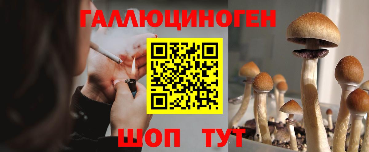 Галлюциногенные грибы Magic Shrooms Псков